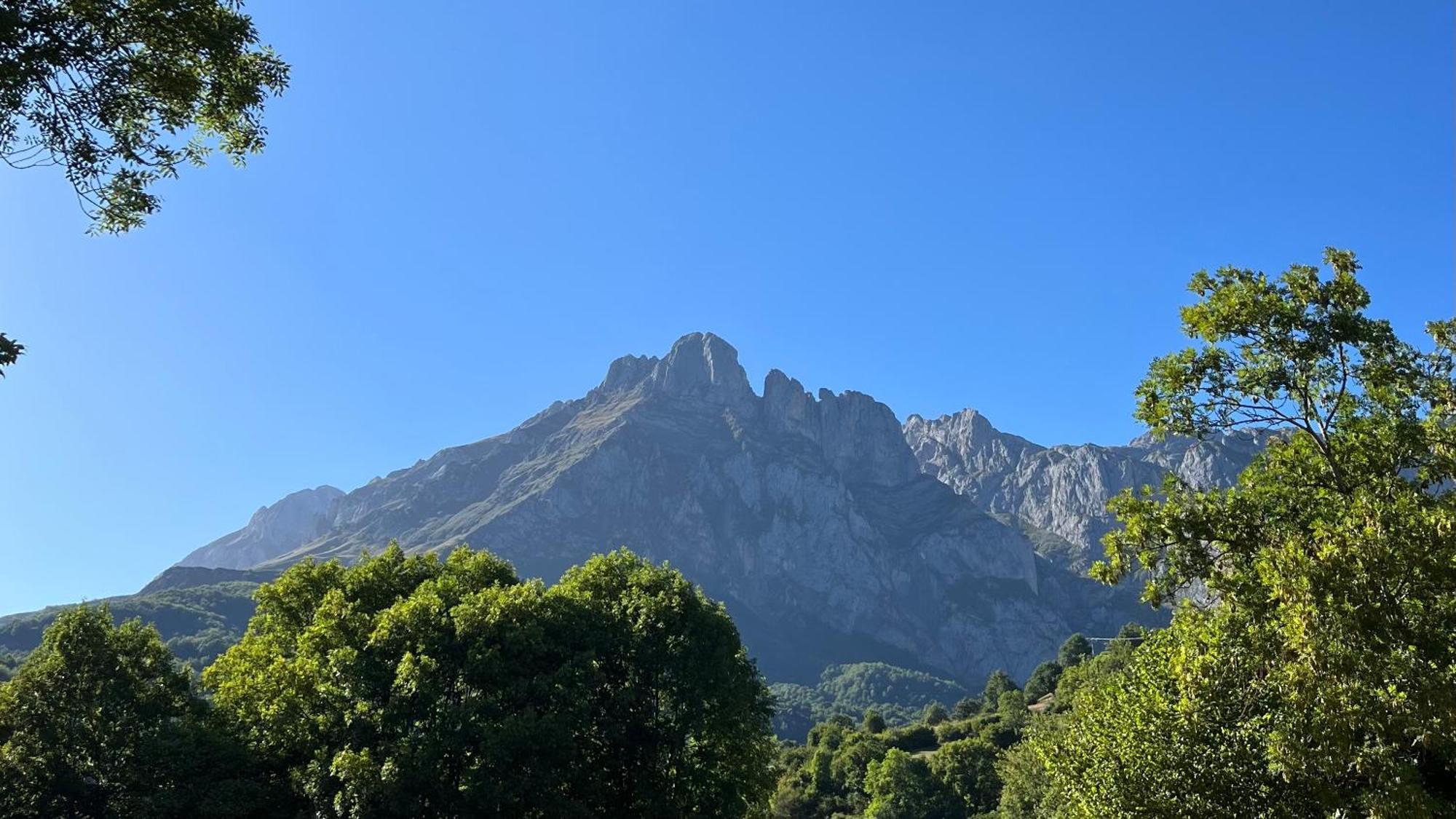 Casucas De Remona