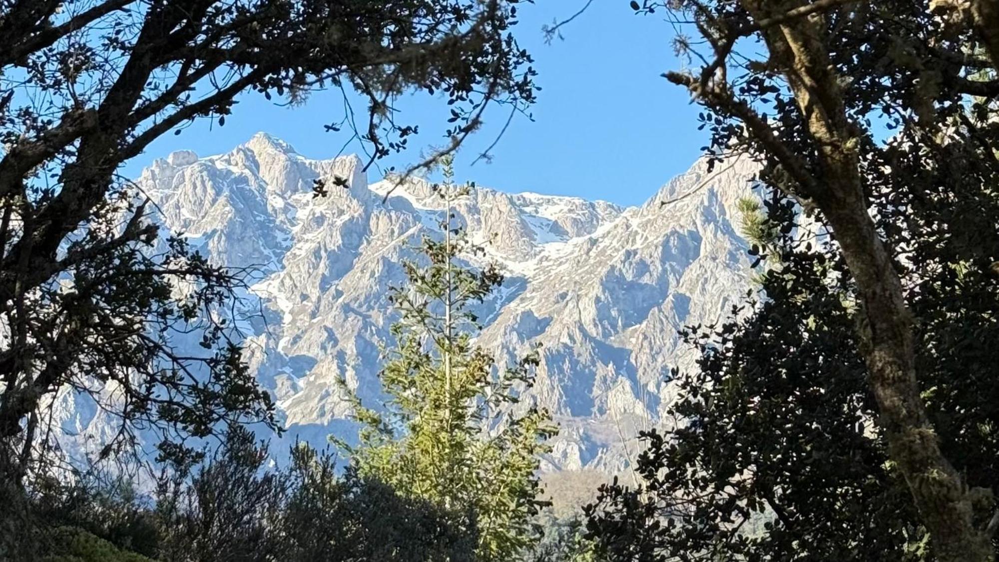 Casucas De Remona *
